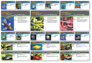 Tropical & Marine Aquatic Labels - Point of Sale