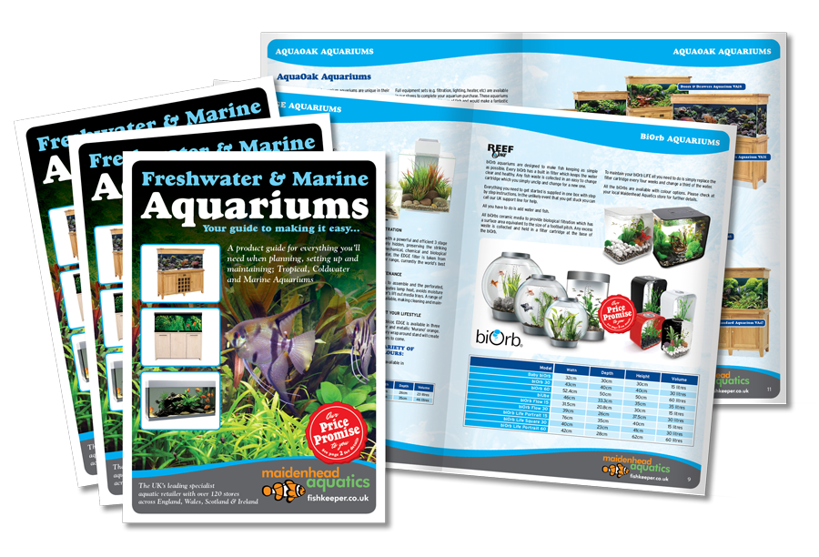 Freshwater & Marine Aquarium Brochure Design