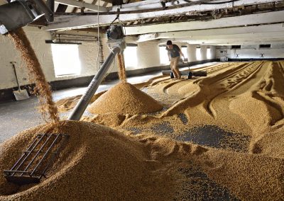 Warminster Maltings Website Design - Floor Malting