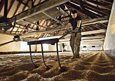 Warminster Maltings Website Design - Floor Malting