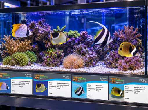 Maidenhead Aquatics Fish Label Design