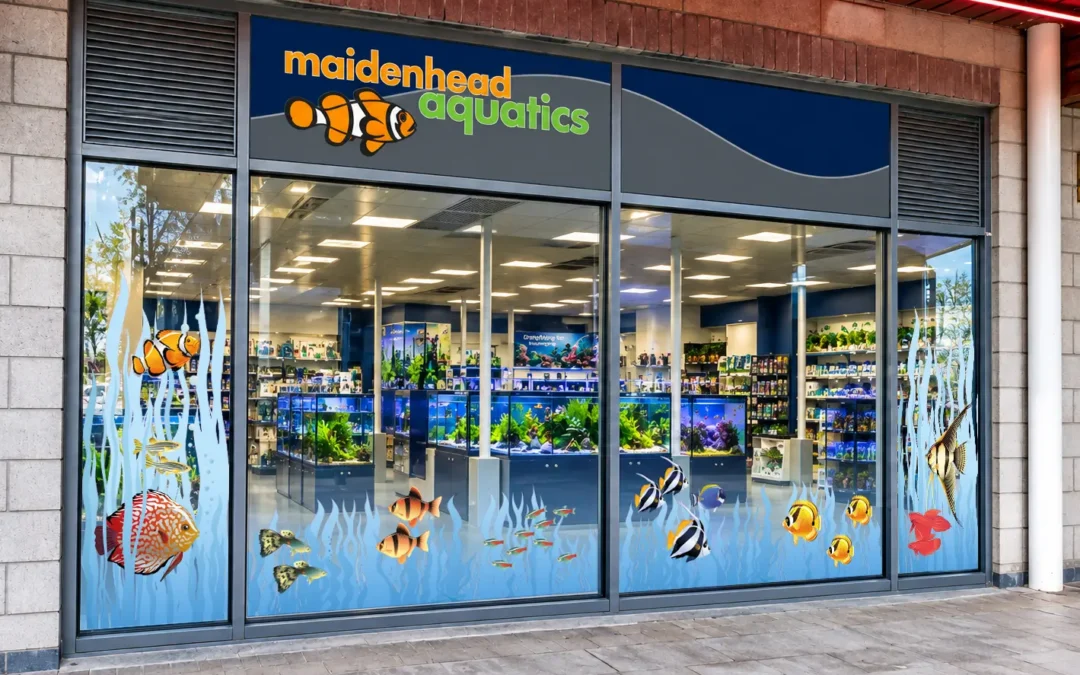Maidenhead Aquatics Brighton Marina Storefront