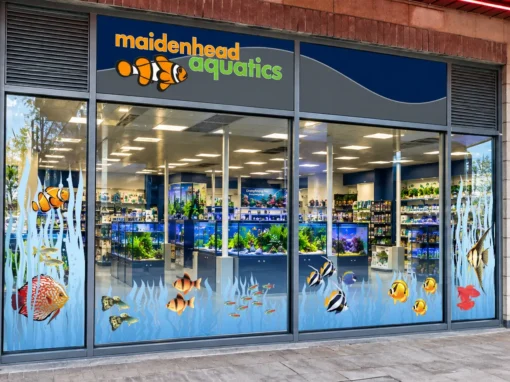 Maidenhead Aquatics Brighton Marina Storefront