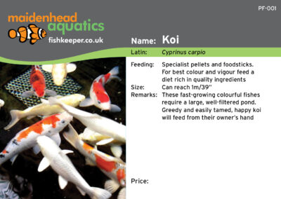 Maidenhead Aquatics Fish Labels by Juice Factory Design