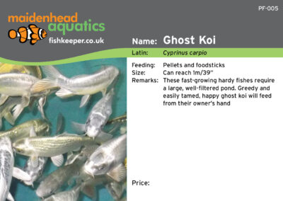 Maidenhead Aquatics Fish Labels by Juice Factory Design