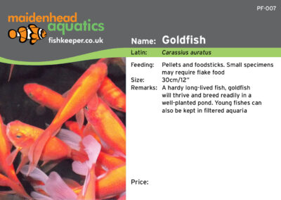 Maidenhead Aquatics Fish Labels by Juice Factory Design