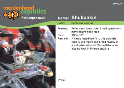 Maidenhead Aquatics Fish Labels by Juice Factory Design