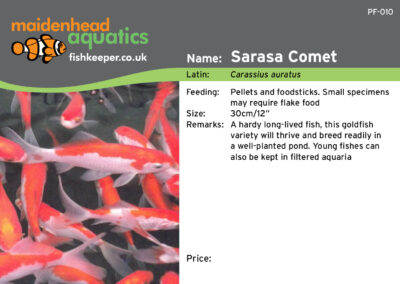 Maidenhead Aquatics Fish Labels by Juice Factory Design