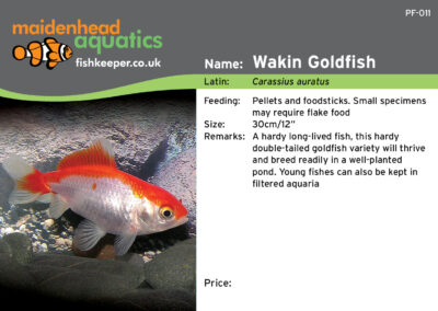 Maidenhead Aquatics Fish Labels by Juice Factory Design