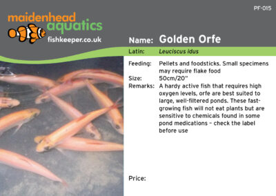 Maidenhead Aquatics Fish Labels by Juice Factory Design