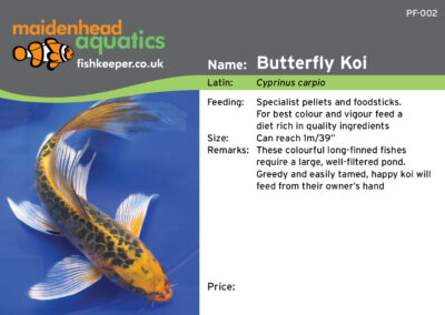 Maidenhead Aquatics Fish Labels by Juice Factory Design