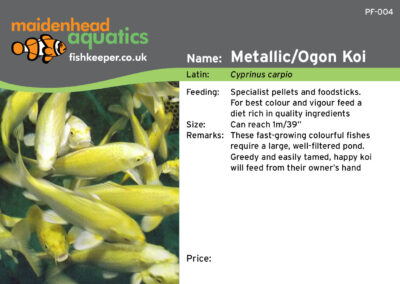 Maidenhead Aquatics Fish Labels by Juice Factory Design