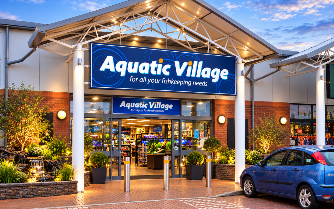 Aquatic Village Storefront Design