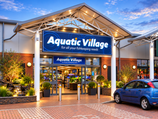 Aquatic Village Storefront Design