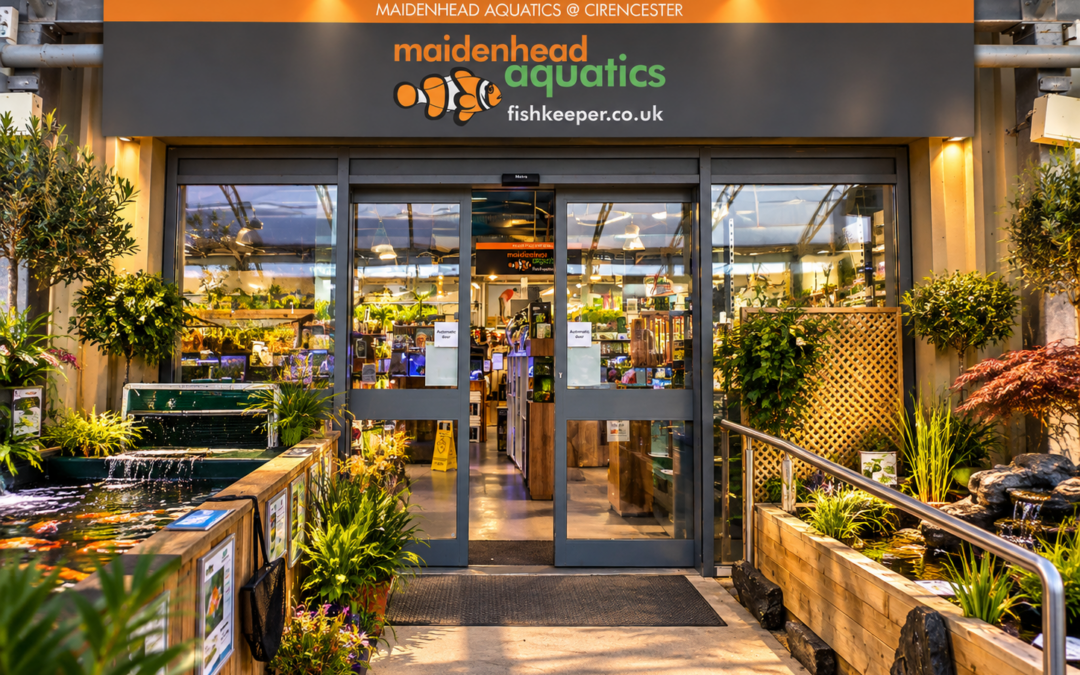 Maidenhead Aquatics Store Signage