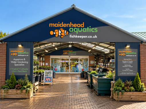 Maidenhead Aquatics Worthing Storefront