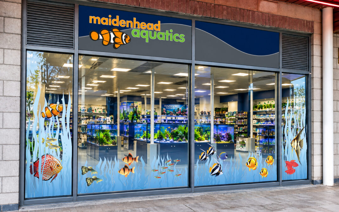 Maidenhead Aquatics Brighton Marina Storefront